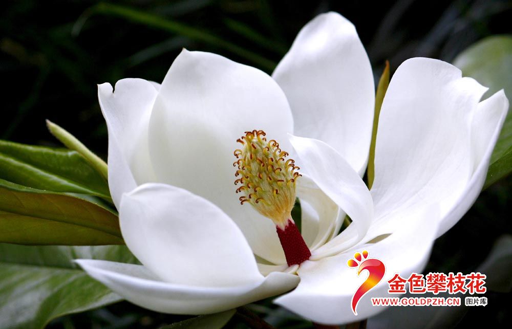 �ɻ����� (1)