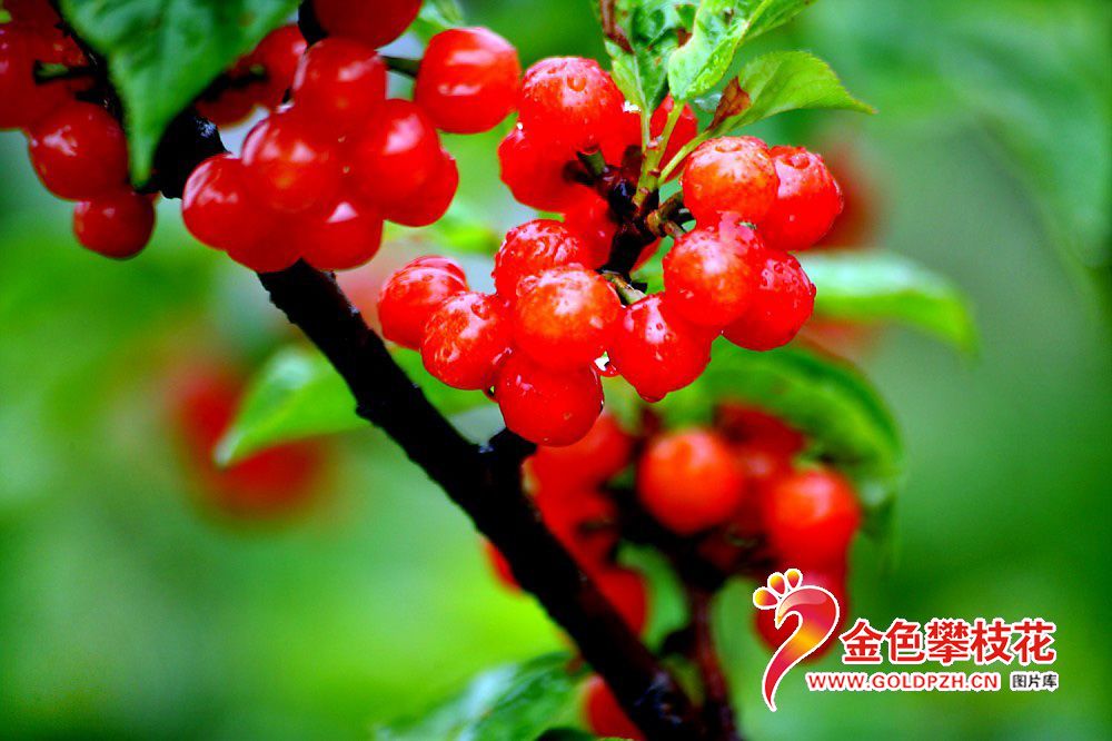 ӣ�ң�6��