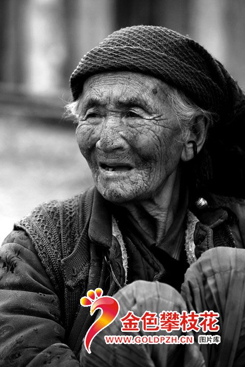 ��ɽ����55-���ξ�